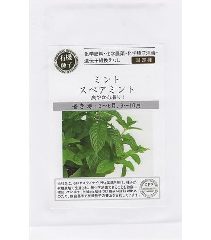 Amazon.co.jp: 斑入りモンステラF1 スフィンクスミント トップカット葉