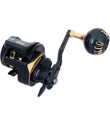 Amazon | ダイワ(DAIWA) ソルトコネクテッドリール 25SALTIGA IC 300-C