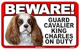 BEWARE！CAVALIER KING CHARLES ラミネートサイン：キャバリアキングチャールズ 注意 警戒中 Made in U.S.A [並行輸入品]