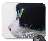 可愛い猫のマウスパッド：フォトパッド（世界の猫シリーズ） (A)