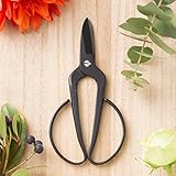 小林製鋏　ＦＬＯＲＩＳＴ　園芸鋏