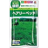 ヘアリーベッチ 種子 60ml 緑肥