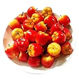 Apple Red Fakeフルーツ人工フォームDelicous DIYパーティー装飾20個zg00040