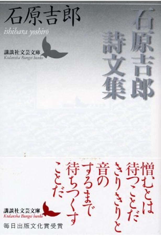 Amazon.co.jp: サンチョ・パンサの帰郷 (思潮ライブラリー・名著名詩選