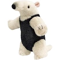 51FPgrwR0sL._AC_UL210_SR210,