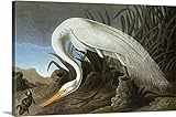 ジョン・ジェームズ・( 1785 – 1851 )オーデュボンプレミアムシックラップキャンバス壁アート印刷題名Great Egret 48" x 32" 2254065_24_48x32_none