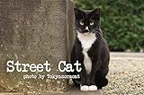 Street Cat