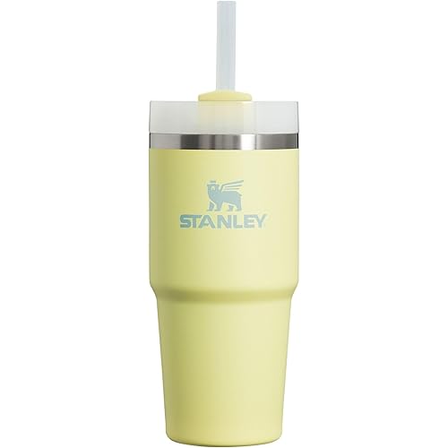 Stanley Quencher H2.0 FlowState Stainless Steel Vacuum Insulated Tumbler with Lid and Straw for Water, Iced Tea or Coffee, Sm