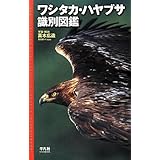 ワシ・タカ・ハヤブサ識別図鑑