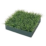 【人工植物】下草セット　リュウノヒゲ