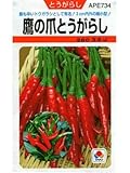 とうがらし　鷹の爪とうがらし　タキイのトウガラシ種　　（グリーンデポ）