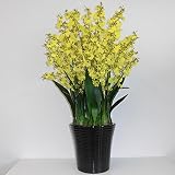 オンシジューム 光触媒 造花 鉢植え アートフラワー 10本立 H90cm(黄-黒鉢)