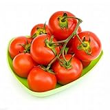 ロリア・ジャパン(LORIAJP) トマト 種子約200粒