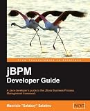 jBPM Developer Guide