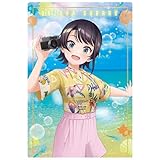 ホロライブプロダクション ウエハース hololive SUPER EXPO 2024 vol.2 [14.大空スバル(メンバーカード)](単品)※カードのみです。お菓子は付属しません。