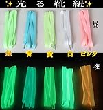 新感覚光る靴紐 左右2本セット