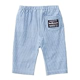 ミキハウス ホットビスケッツ (MIKIHOUSE HOT BISCUITS) パンツ 71-3203-266 80cm 紺×白
