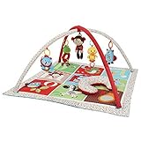 Gaodengbao Friendly Palstic Activity Gym Baby Toy Y21014 by Gaodengbao