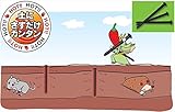 アルケーウィル:ピリピリスティック　30本/パック　30パック入 9