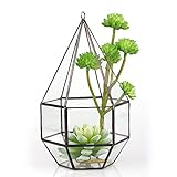 Geometric Terrarium ガラス ポリゴン ハング　ほっそり　水玉　6側　 3つのオープン　幾何 ジオ　テラリウム 植木鉢 多肉植物 ミニ景観 盆栽 プランター モス 苔 コケ モストレ