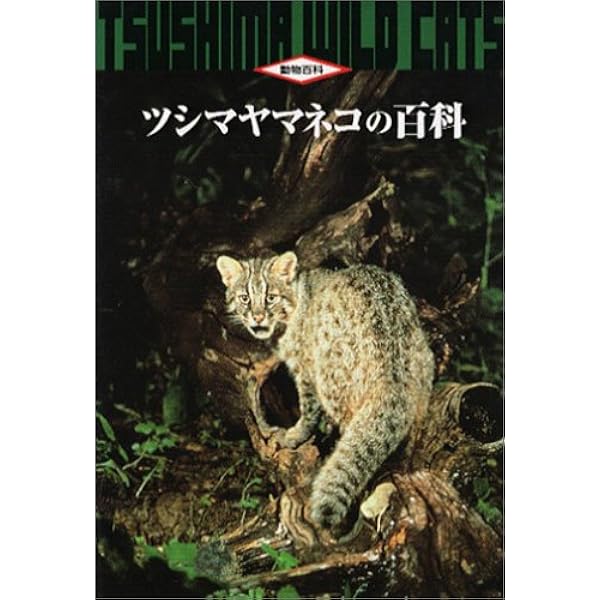 ツシマヤマネコって、知ってる? 絶滅から救え! わたしたちに