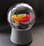 Hey 6月Preservedフレッシュフラワーローズの音楽ギフトbox-bestギフト彼女のバレンタインの日、母の日、誕生日、記念日