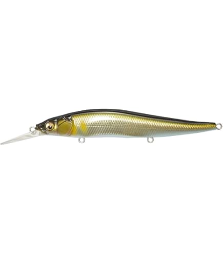 Amazon.co.jp: メガバス ビジョンワンテン 110 Megabass VISION ONETEN
