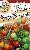 フタバ種苗 【一代交配】 トマト キャンディーレッド 種・小袋詰(10粒)