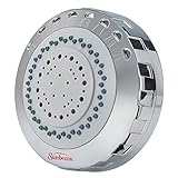 Sunbeam 6913-001 Showerhead Massager, Chrome Finish [並行輸入品]