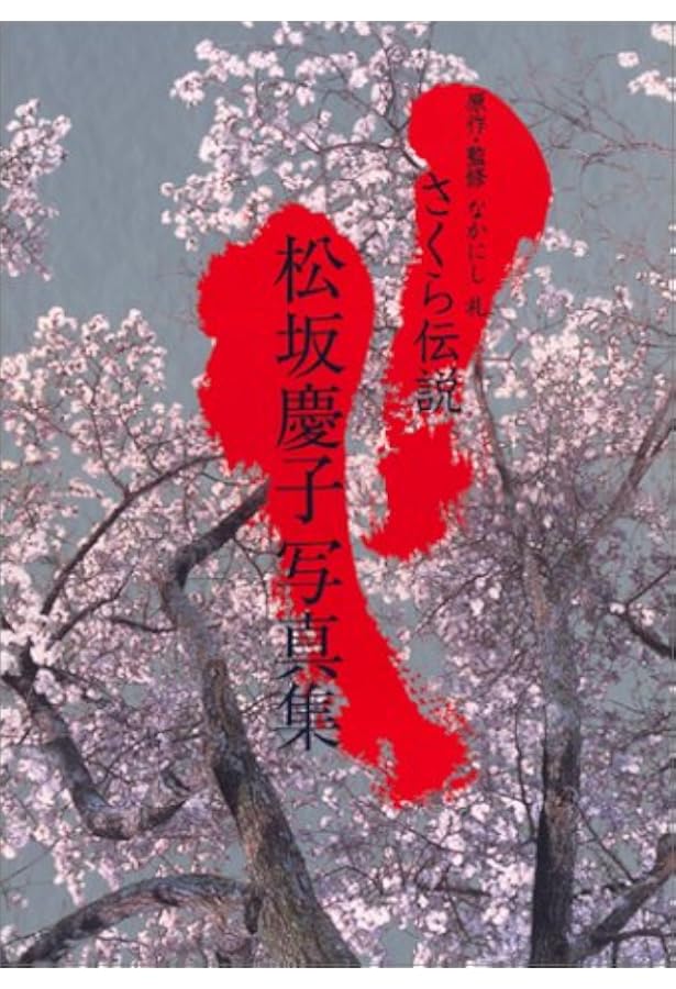 Amazon.co.jp: 吹石一恵 写真集 (ヤングサンデーブックス) : 西田 幸樹: 本