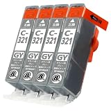 Canon キャノン BCI-321GY (グレー)【4本セット】 最新 互換 インクカートリッジ 《ICチップ搭載・残量表示対応・1 321 321GY 純正と併用可能 (対応機種: PIXUS - MP990 MP980 MP640 MP630 MP620 MP560 MP550 MP540 MX860 iP4700 iP4600 iP3600)【STAR JET製】