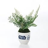 【STAR WARS】スター・ウォーズ　湯呑みに入ったフェイク盆栽　スター・ウォーズ　　Ｃ－３ＰＯ