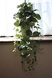 インテリアグリーン人工観葉植物・ミントパインアレンジ、光触媒品受け皿付き