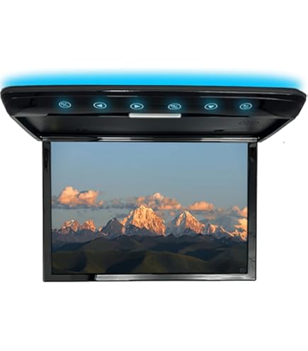 Amazon | [パイオニア/Pioneer] 10.2V 型ワイドVGA フリップダウン