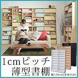 1ｃｍピッチ大収納ラック 120cm幅 （本体のみ） 1cmピッチ本棚 文庫/ホワイト