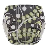 Blueberry Basix All in One Pocket Diaper (Medium, Tweets) by Blueberry