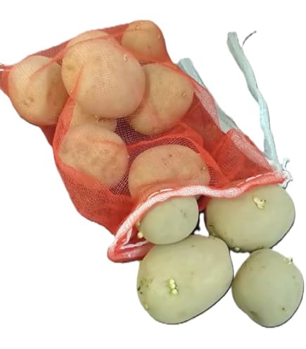 デジマ　種芋　20キロ デジマ 種芋 20キロ 秋植えじゃがいもの種芋 品種：デジマ 【種芋