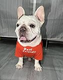 RIOSTUDIO 犬服 春 夏 (S～XXLまで5サイズ展開) 犬の服 夏用 Tシャツ シンプル 涼しい 通気 おしゃれな英文字プリント わんこ服 小型犬 中型犬 大型犬 猫服 防虫 抜け毛防止 ルームウェア 犬用(⑫[CUTE]×ローズピンク,S)