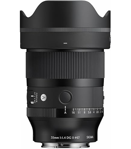 Sigma 35mm f/1.4 DG DN | Art (Sony E Mount) : Amazon.sg: Electronics