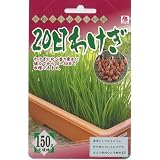 20日わけぎ 150 g