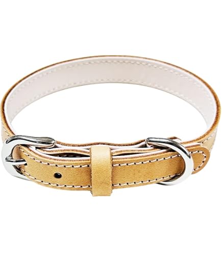 Amazon | ドイツ製 高級本革首輪 Das Lederband レダーバンド