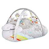 スキップホップ クラウド アクティビティジム プレイマット