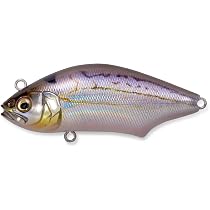 Amazon.co.jp: メガバス(Megabass) HADARA TRAP 70 FA ヒイラギ
