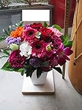 TVチャンピオン出場【今旬フラワーアレンジメント3,700円 ヨーロピアン 秋色】誕生日 花　誕生日 プレゼント 女性 フラワーアレンジメント 開業開店祝い 花 劇場 楽屋花 ギフト お見舞い お供え