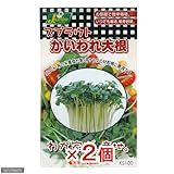 スプラウトタネ かいわれ大根 KS100-751 カネコ種苗 家庭菜園 2個