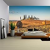 wall26 Wall Muralシリーズ 自己接着式壁紙 大型 100"x144" WMR-WP-X-DA15-100x24x6