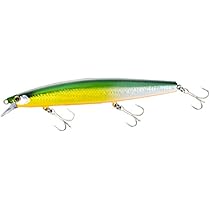 SHIMANO - シマノ サイレントアサシン140F (セット販売) 楽天市場】シマノ(SHIMANO) エクスセンス サイレントアサシン