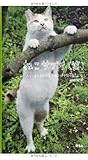 ねこサプリ(笑)人によく効くNEKO-PHOTO202