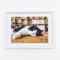 Amazon | ナカバヤシ 木製写真額 A4判 ブラック F-SW-121-D | 額縁