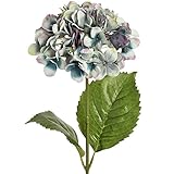 (ヒル・インテリアズ) Hill Interiors ブルー アジサイの造花 (シングル) アーティフィシャルフラワー イミテーションフラワー デコレーション (ワンサイズ) (ブルー/グリーン)